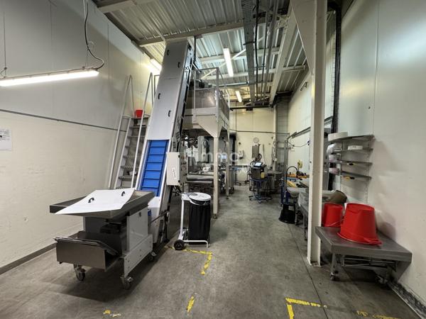 Ensemble immobilier industriel à Wittenheim (68270) - Haut-Rhin