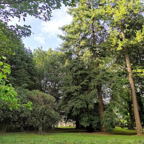 Morbihan Manoir datant de 1714