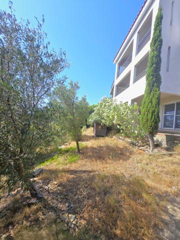 Superbe villa 232 m² – Vue mer panoramique – Cerbère Cerbère (66290)