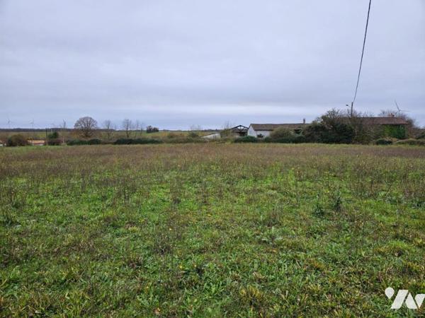 A vendre à CHAUNAY, une maison ancienne au sein d'un terrain de 6123m²