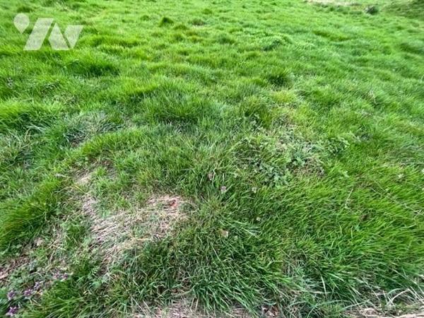 TERRAIN CONSTRUCTIBLE - BOURBON L'ARCHAMBAULT 03160