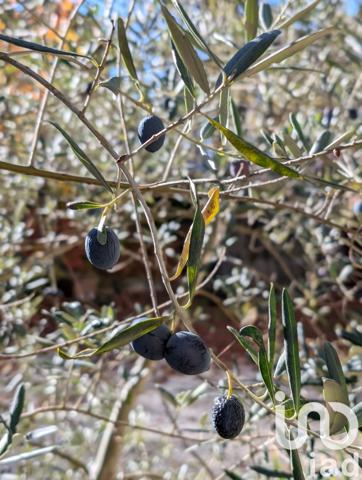 Maison à vendre 7 pièces 237 m² Vif