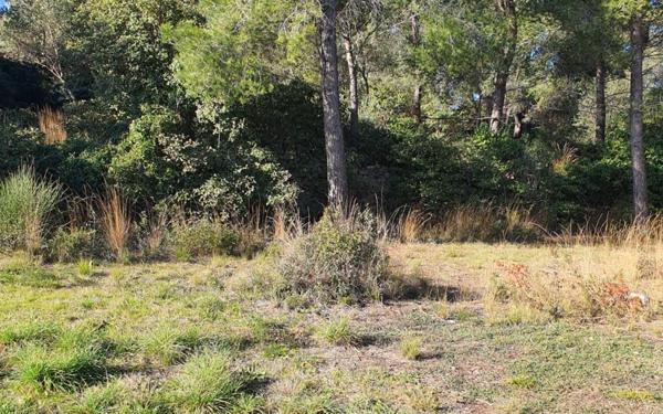 Terrain à vendre    Ollioules