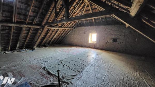 PONT DE ROIDE, deux appartements T2, deux combles, un garage avec remise, jardins privatifs