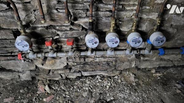 PONT DE ROIDE, deux appartements T2, deux combles, un garage avec remise, jardins privatifs