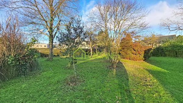 Terrain borné non viabilisé de 493 m2 hors lotissement déjà planté avec haies autour