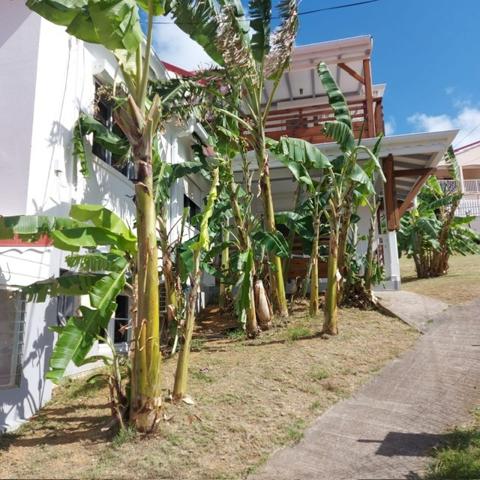 JOLIE VILLA T7 A VENDRE A TERRE DE HAUT LES SAINTESS