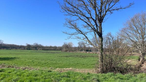 Terrain libre constructeur