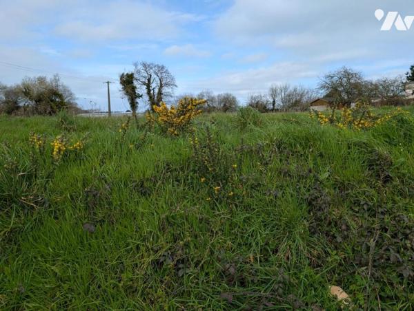 RARE, grand terrain proche centre