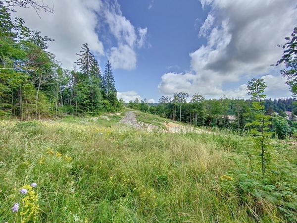 Terrain constructible viabilisé de 874m2