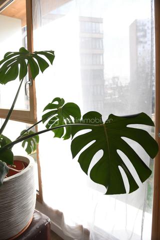 Appartement de 45,62 m²