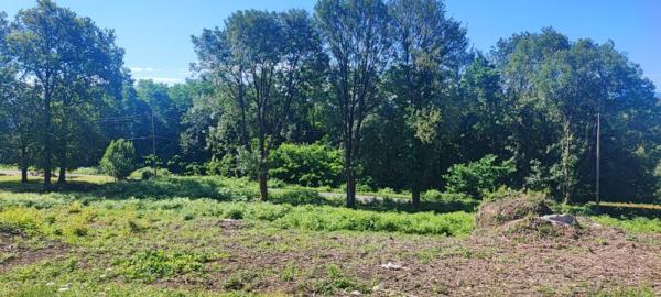 Terrain Constructible SAINT SALVY DE LA BALME DE 2268 m2