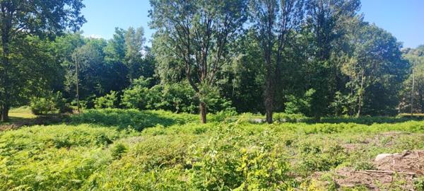 Terrain Constructible SAINT SALVY DE LA BALME DE 2268 m2