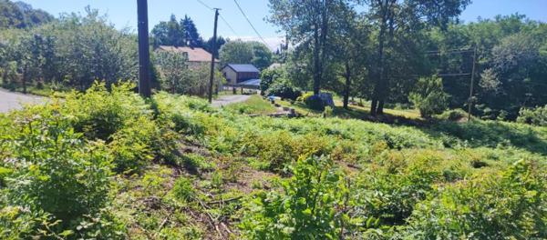 Terrain Constructible SAINT SALVY DE LA BALME DE 2268 m2
