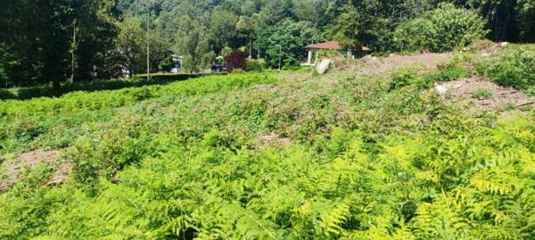 Terrain Constructible SAINT SALVY DE LA BALME DE 2268 m2