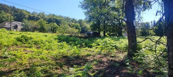 Terrain Constructible SAINT SALVY DE LA BALME DE 2268 m2