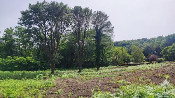 Terrain Constructible SAINT SALVY DE LA BALME DE 2268 m2