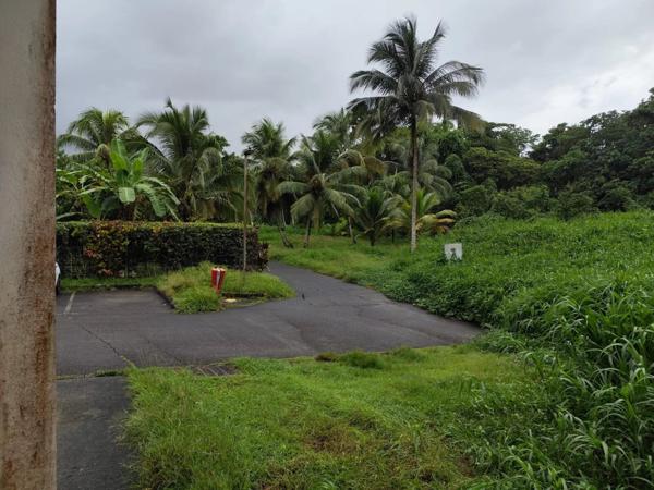 Location Fonds de commerce 1 pièces 45 m2 à Fort-de-France