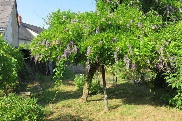 Achat - Maison | Maison de ville Luçay-le-Mâle 36360 6 pièces 120 m 2 1272 m 2