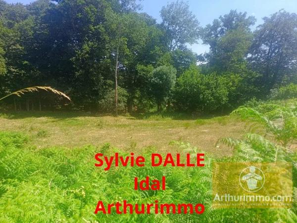 Vente                                                      Terrain
                        
                                         3032 m2                     à Saint-Laurent-de-Muret