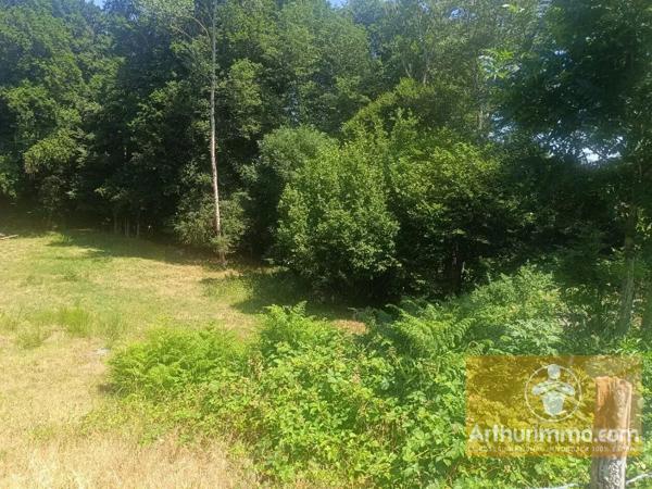Vente                                                      Terrain
                        
                                         3032 m2                     à Saint-Laurent-de-Muret