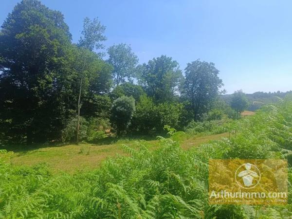 Vente                                                      Terrain
                        
                                         3032 m2                     à Saint-Laurent-de-Muret