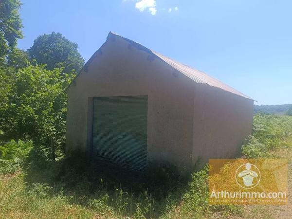Vente                                                      Terrain
                        
                                         3032 m2                     à Saint-Laurent-de-Muret