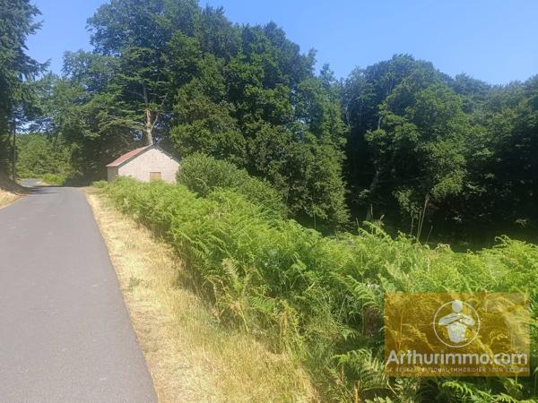 Vente                                                      Terrain
                        
                                         3032 m2                     à Saint-Laurent-de-Muret