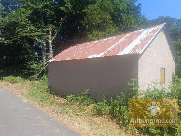 Vente                                                      Terrain
                        
                                         3032 m2                     à Saint-Laurent-de-Muret
