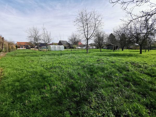 DOMAINE AVEC DEUX HABITATIONS GRANGE HANGAR DEPENDANCES SUR 6181 M2