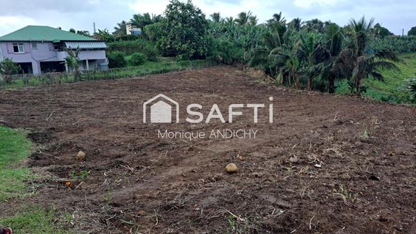 Terrain plat de 700 m² au Lorrain