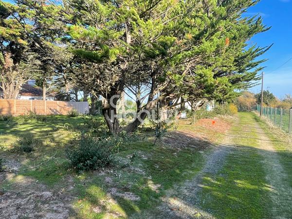 Terrain à Barbâtre de 435m2 face forêt et proche mer