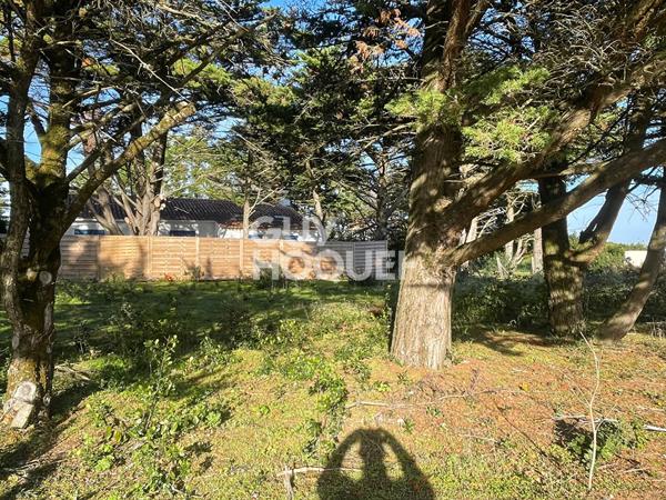 Terrain à Barbâtre de 435m2 face forêt et proche mer