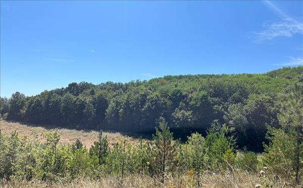 Terrain à vendre |  Trélissac |  1417 m²