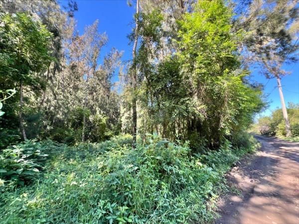 Terrain à Batir à vendre à Cilaos à la Réunion (97413), ref : 38119