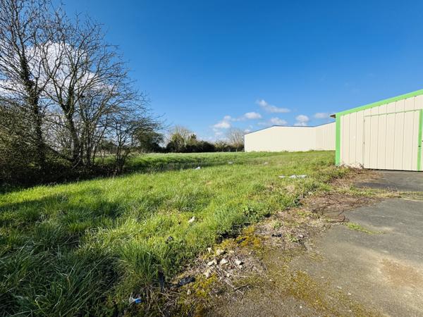 Local d'activité
                                                                                                                                                                                                                                                                                                                                                                                                                                            785  m²
