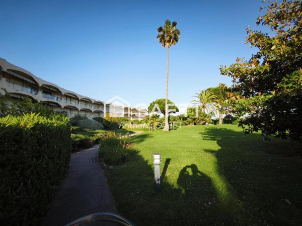 appartement RDC plage direct baie des anges