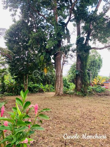 Terrain de 738 m²