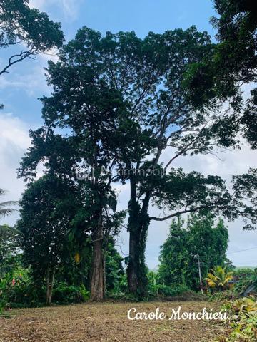 Terrain de 738 m²