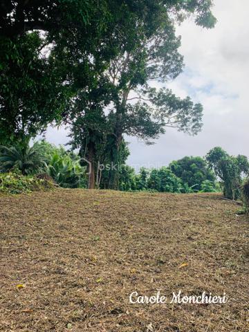 Terrain de 738 m²