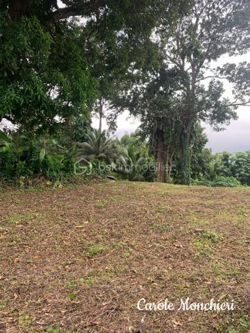 Terrain de 738 m²