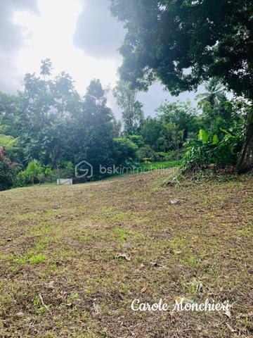 Terrain de 738 m²
