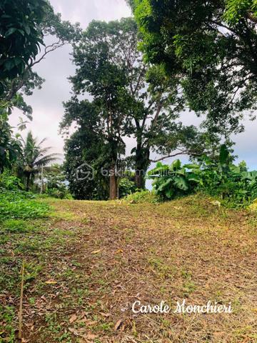 Terrain de 738 m²