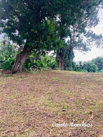 Terrain de 738 m²