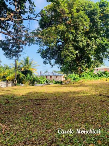 Terrain de 738 m²