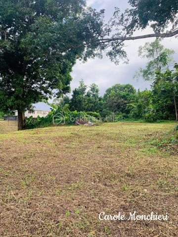 Terrain de 738 m²