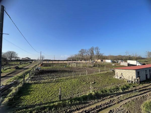 Vente Maison 6 pièces 230 m2 à Noailly