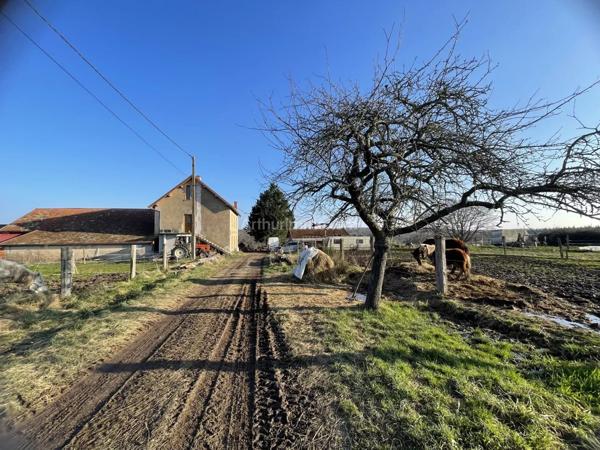 Vente Maison 6 pièces 230 m2 à Noailly