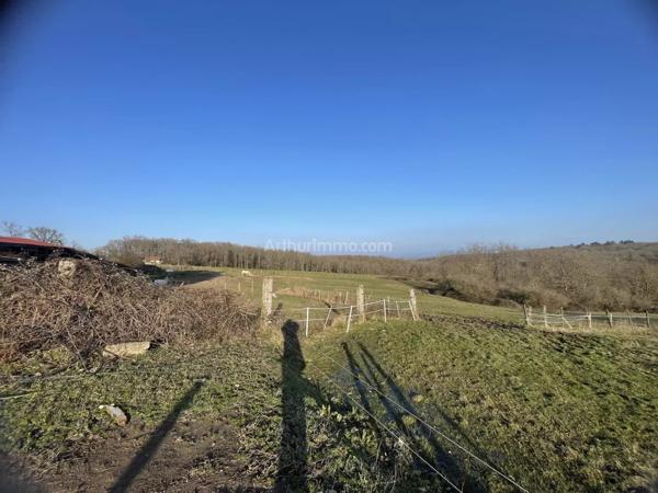 Vente Maison 6 pièces 230 m2 à Noailly