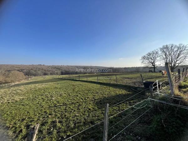 Vente Maison 6 pièces 230 m2 à Noailly